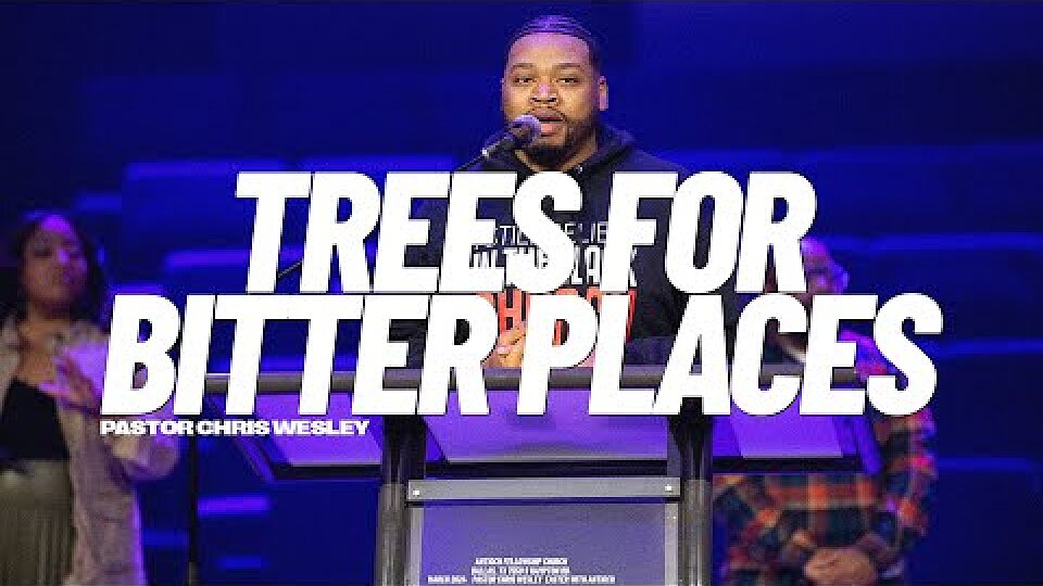 Trees for Bitter Places