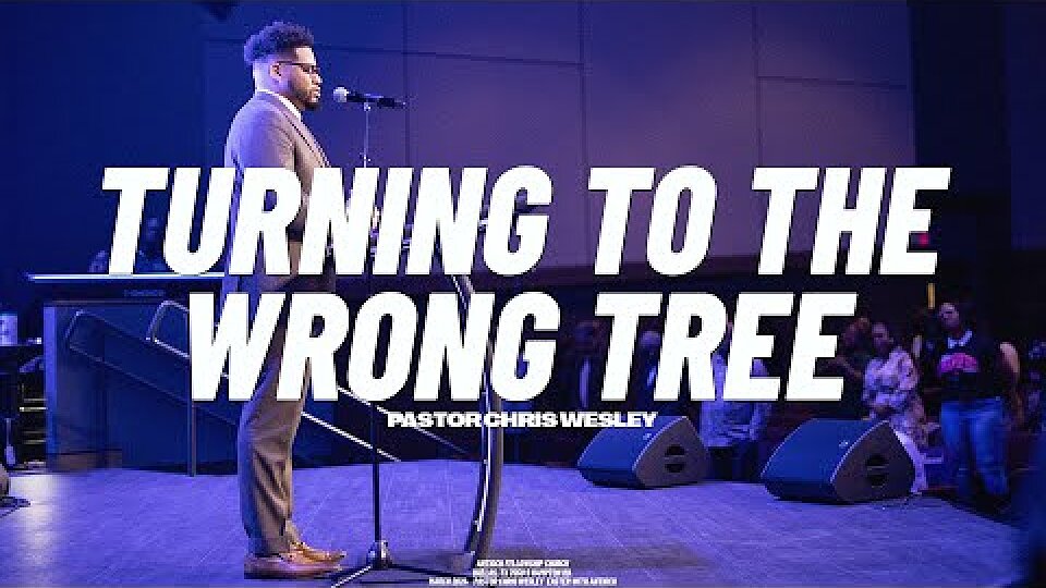Turning to the Wrong Tree