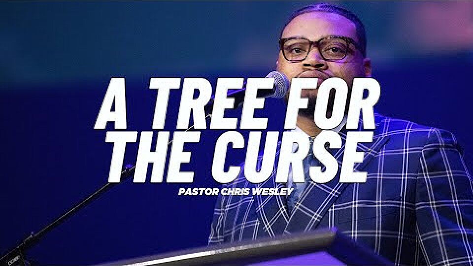 A Tree for the Curse